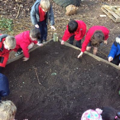 Forest School in Action